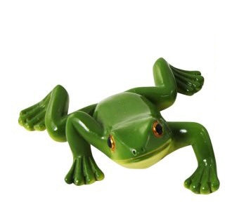 Small Green Tree Frogs