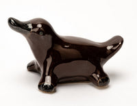 Floating Platypus