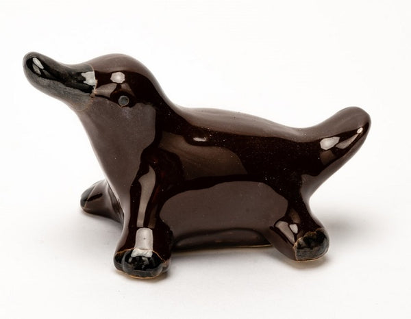 Floating Platypus