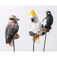 Aussie birds on a Stick - selection of Kookaburra, magpie or cockatoo