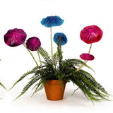 Colourful Fairy Mushrooms Mixed
