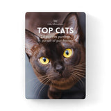 Top Cats by Affirmations - 24 positive purrings in pursuit of purr-fiction