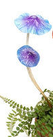 Purple double head spring mushroom