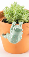Jade Green Frog - Ceramic Frog pot sitters. Fantastic to jazz up any pot in the garden or inside the home. Colours available are Jade Green, Dark Green or Dark Grey.  Dimensions: 9.7cm x 6.5cm x 7 cm