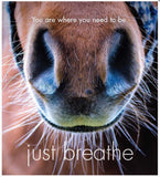 Little book of Heavenly Horses - By Affirmations - Page reads: You are where you need to be Just breath. Photo of horses nostrils