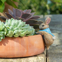 Peter Rabbit climbing into the pot - Pot Buddies Beatrix Potter