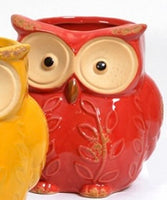 Beautifully colourful owl planter in Red. Available in two sizes  14cm or 18cm  Sold separately