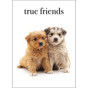 Affirmations Card - True Friends