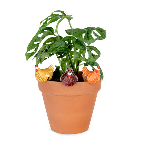 Beautiful Poly resin pot sitter with gap underneath for resting on pots.   Chicken Pot Sitter in Colours  4.5 x 4.5 x 4.5cm
