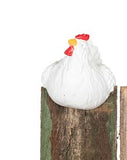 Fun White Polyresin chicken pot sitters in large - available in 3 Assorted designs looking Right