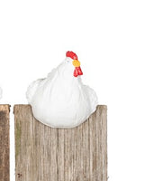 Fun White Polyresin chicken pot sitters in large - available in 3 Assorted designs looking Left