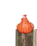Fun Coloured Polyresin chicken pot sitters in large - available in 3 Assorted designs  Dimensions: 10.0 x 8.5 x 9.0cm orange looking Right