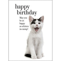 Affirmation Card - Beautiful presented card  Happy Birthday - May you be as happy as a kitten in catnip!  Inside Verse - Meow!