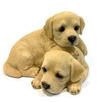 Labrador Puppies in Resin