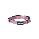 Extra Small Collar in floral Colours pinks and light blue