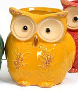 Beautifully colourful owl planter in Yellow. Available in two sizes  14cm or 18cm  Sold separately