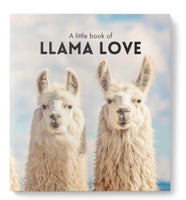 Little Book of Affirmations