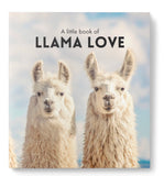 Little Book of Affirmations