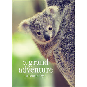 Affirmations - a grand adventure...