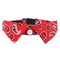Red Paisley - Dog Shirt Collar