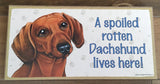 Sign with an image: A spoiled rotten Dachshund lives here! (red colour)