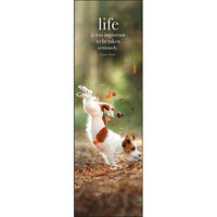 Animal Bookmarks - Affirmations