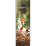 Animal Bookmarks - Affirmations