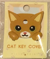 Ginger key cover