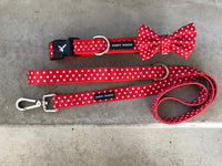 Red & White Polka Dots Leash by Soapy Moose