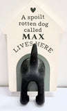 Dog Lead Hook - Max
