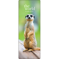 Animal Bookmarks - Affirmations