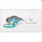 Little book of Feathered Friends - By Affirmations - page reads - F.L.Y. First love yourself