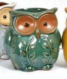 Beautifully colourful owl planter in Green. Available in two sizes  14cm or 18cm  Sold separately