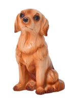 Caved Cavalier