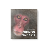 Little Book of Affirmations