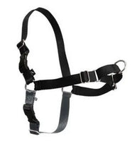 Gentle Leader Easy Walk Harness