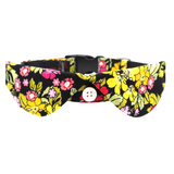 Dog Blouse Collar - Rose and Hubble Black background - Green leaves pink and yellow hues
