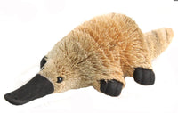 Hanging Bristlebrush - Ornaments