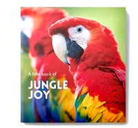 Little Book of Affirmations