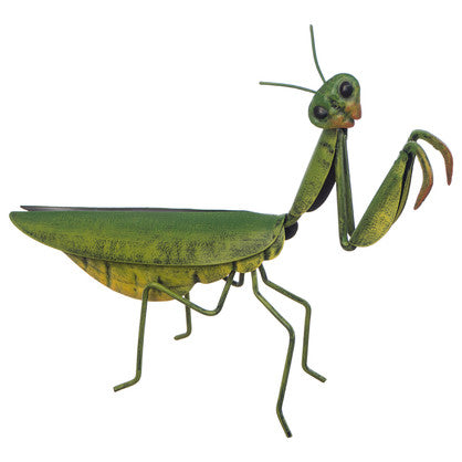 Duo 1 Praying Mantis