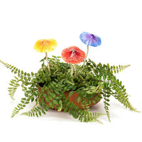 Fun and fantastic metal mushrooms to add colour and interest to your garden. Mushroom head is spring attached to stem. Each mushroom sold separately.  Small - 9.5cm x 9.5cm x 24 cm H  Large - 14.5cm 14.5 cm x 36 H