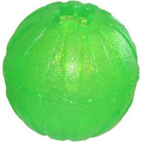 Treat Dispenser Chew Ball
