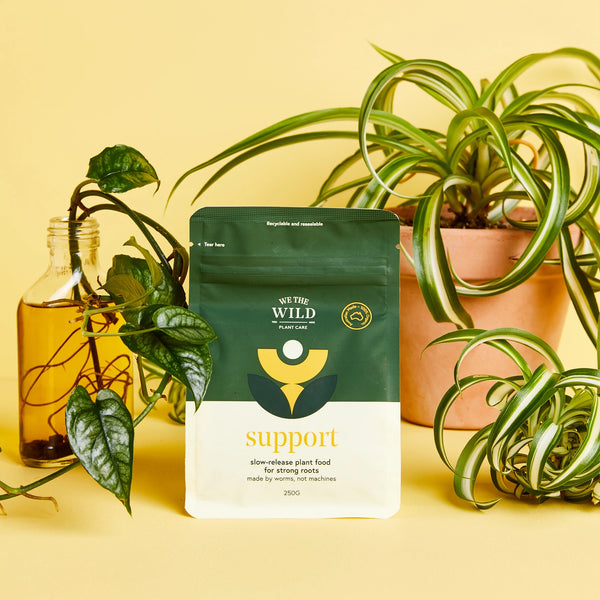 Support by we the wild Plant Care - Slow release pant food for strong roots