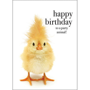 Affirmation Card - Beautiful presented card  Happy birthday to a Party Animal!  Inside Verse - Go wild!