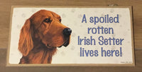 Wooden Plaque - A spoiled rotten Irish Setter lives here! 255mm x 128 mm x 9mm