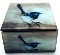 Glass Blue Wren Keepsake Box - fantastic gift for bird lovers - box plain background