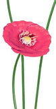 Small Pink - Beautifully presented metal poppies in Red. Great to brighten any garden or pot.  Available in sizes:  Small: 10cm x 10cm x 49cm