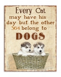 Every Cat may have his day but the other 364 days belong to the DOG.S