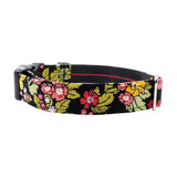 Rose and Hubble collar