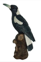 Magpie or Cockatoo on a Stump